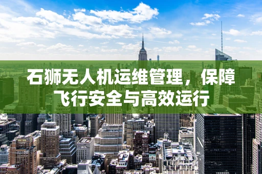 石狮无人机运维管理，保障飞行安全与高效运行