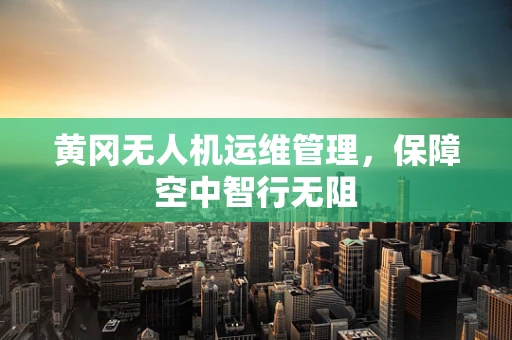 黄冈无人机运维管理，保障空中智行无阻