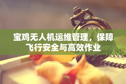 宝鸡无人机运维管理，保障飞行安全与高效作业