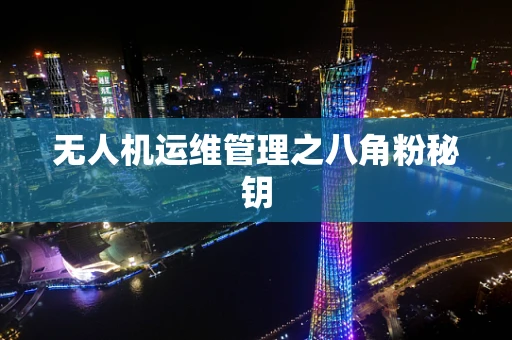 无人机运维管理之八角粉秘钥