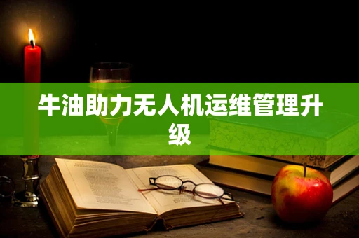 牛油助力无人机运维管理升级