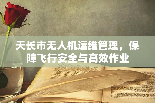 天长市无人机运维管理，保障飞行安全与高效作业