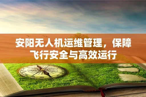 安阳无人机运维管理，保障飞行安全与高效运行