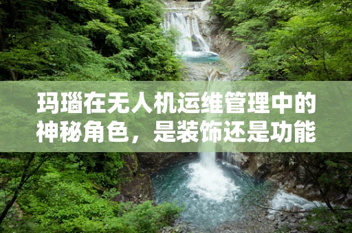 玛瑙在无人机运维管理中的神秘角色，是装饰还是功能？