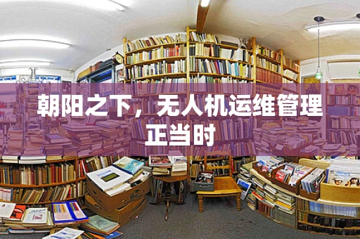 朝阳之下，无人机运维管理正当时