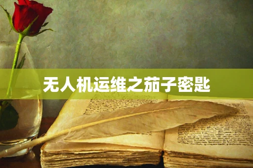 无人机运维之茄子密匙