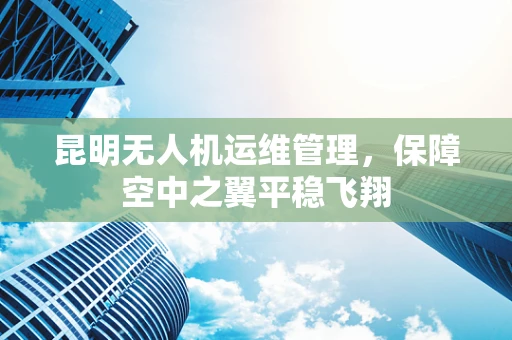 昆明无人机运维管理，保障空中之翼平稳飞翔