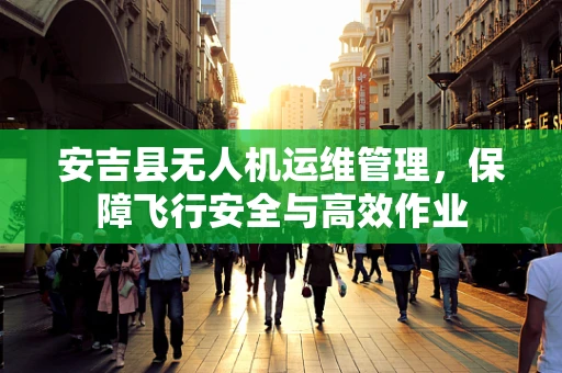 安吉县无人机运维管理，保障飞行安全与高效作业