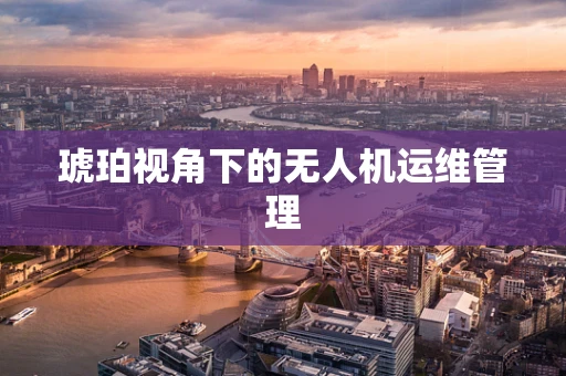 琥珀视角下的无人机运维管理