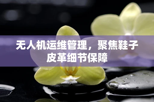 无人机运维管理，聚焦鞋子皮革细节保障
