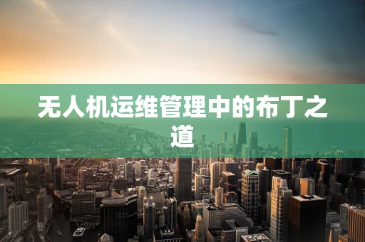 无人机运维管理中的布丁之道