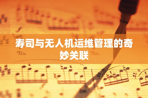 寿司与无人机运维管理的奇妙关联