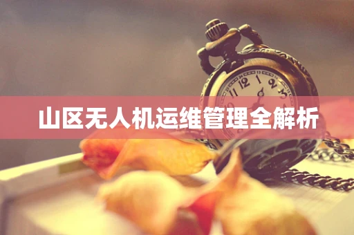 山区无人机运维管理全解析