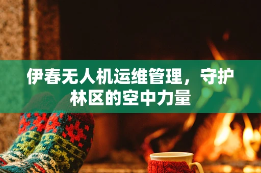 伊春无人机运维管理，守护林区的空中力量