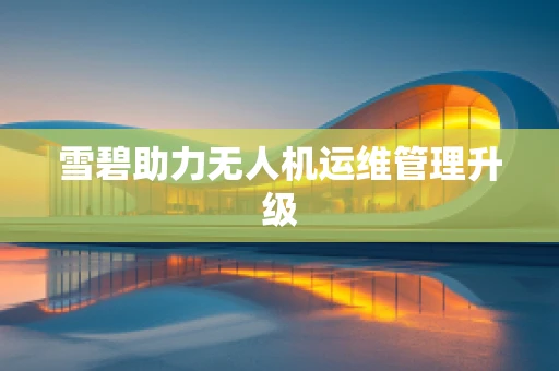 雪碧助力无人机运维管理升级