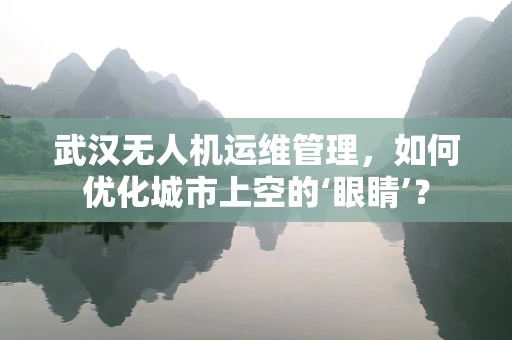 武汉无人机运维管理，如何优化城市上空的‘眼睛’？