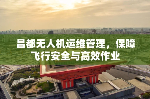 昌都无人机运维管理，保障飞行安全与高效作业