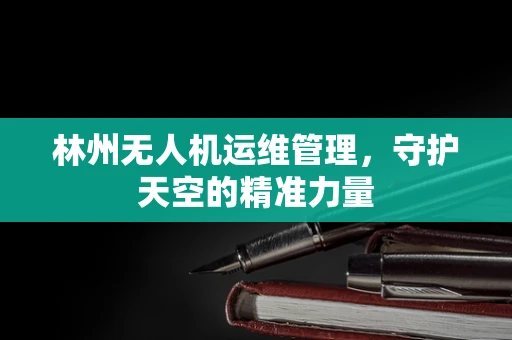 林州无人机运维管理，守护天空的精准力量