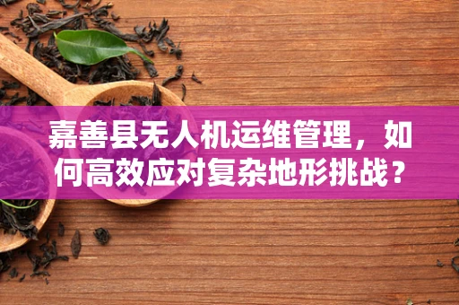 嘉善县无人机运维管理，如何高效应对复杂地形挑战？