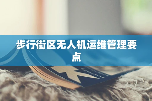 步行街区无人机运维管理要点