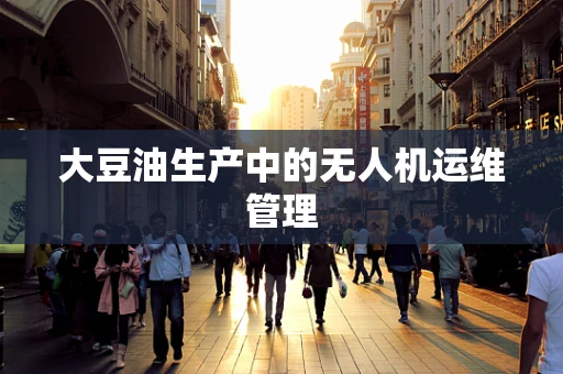 大豆油生产中的无人机运维管理