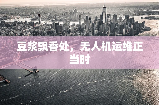 豆浆飘香处，无人机运维正当时