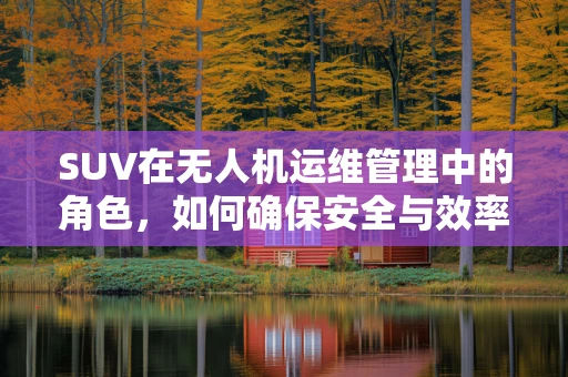 SUV在无人机运维管理中的角色，如何确保安全与效率的双重保障？