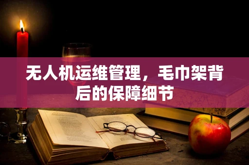无人机运维管理，毛巾架背后的保障细节
