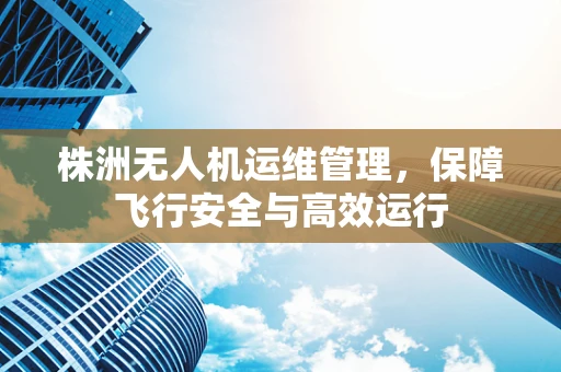 株洲无人机运维管理，保障飞行安全与高效运行