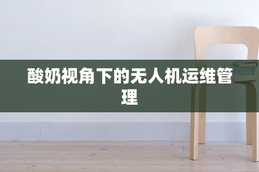 酸奶视角下的无人机运维管理