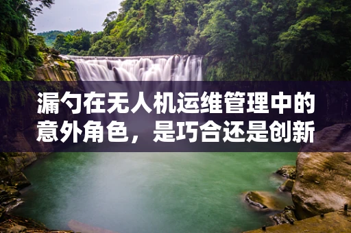 漏勺在无人机运维管理中的意外角色，是巧合还是创新应用？