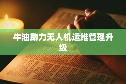 牛油助力无人机运维管理升级