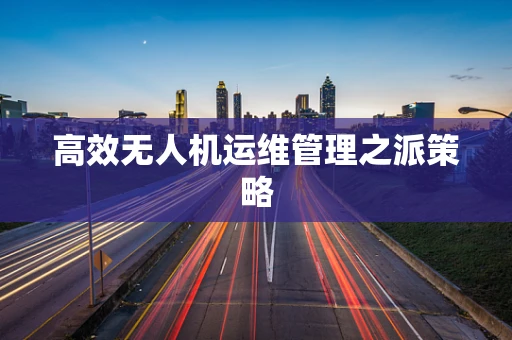 高效无人机运维管理之派策略