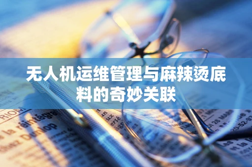 无人机运维管理与麻辣烫底料的奇妙关联