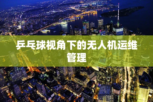 乒乓球视角下的无人机运维管理