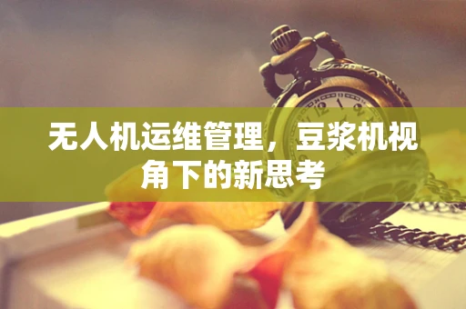无人机运维管理，豆浆机视角下的新思考