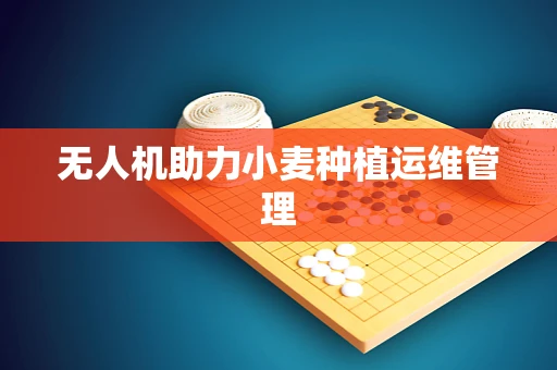 无人机助力小麦种植运维管理
