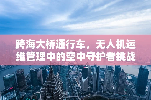跨海大桥通行车，无人机运维管理中的空中守护者挑战