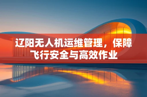 辽阳无人机运维管理，保障飞行安全与高效作业