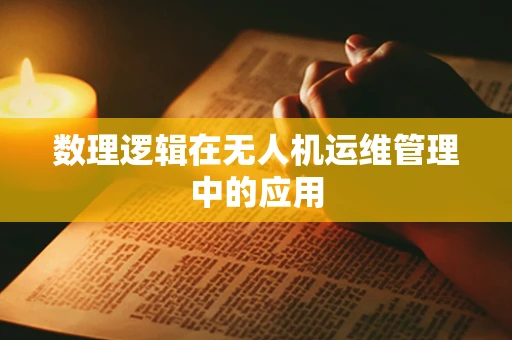 数理逻辑在无人机运维管理中的应用