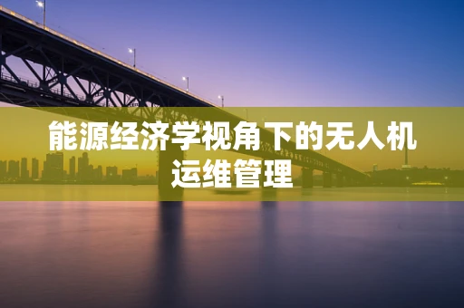 能源经济学视角下的无人机运维管理