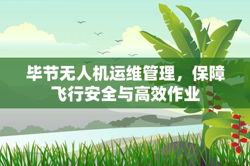 毕节无人机运维管理，保障飞行安全与高效作业
