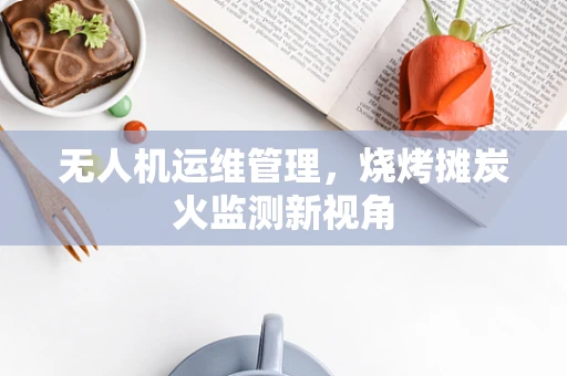 无人机运维管理，烧烤摊炭火监测新视角
