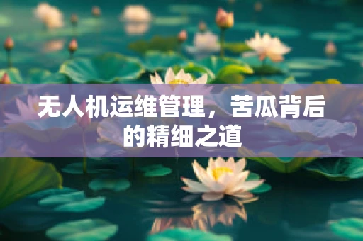 无人机运维管理，苦瓜背后的精细之道