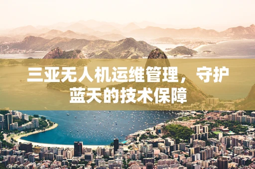 三亚无人机运维管理，守护蓝天的技术保障