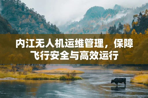 内江无人机运维管理，保障飞行安全与高效运行