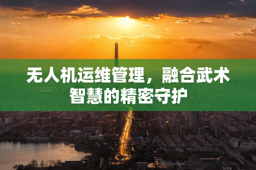 无人机运维管理，融合武术智慧的精密守护