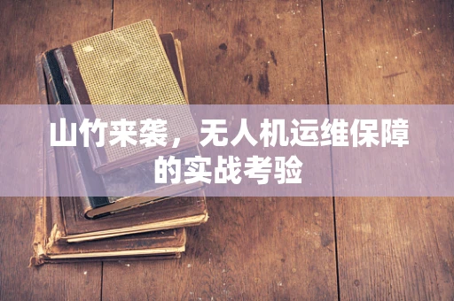 山竹来袭，无人机运维保障的实战考验
