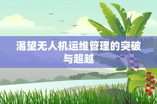 渴望无人机运维管理的突破与超越