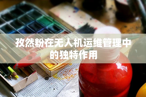 孜然粉在无人机运维管理中的独特作用